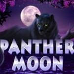 Panther Moon