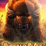 Buffalo Blitz